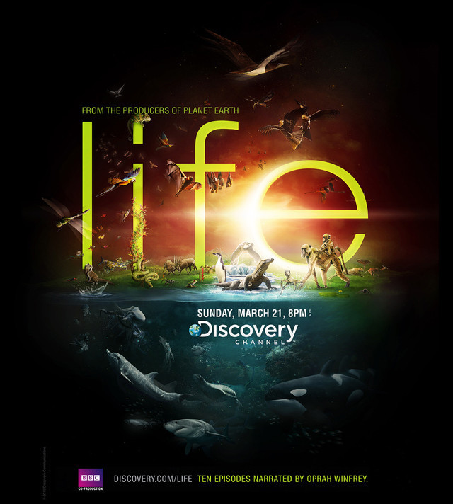 Publicidad Impresa - Discovery Channel - Vida